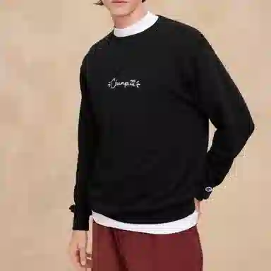 Champion FW25 BASIC
