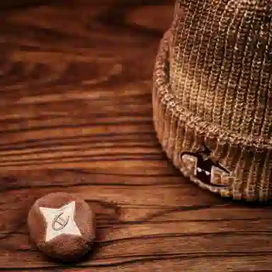 Champion FW25 C-Logo