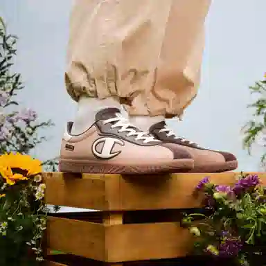 Champion Champ Trainer EC Brown