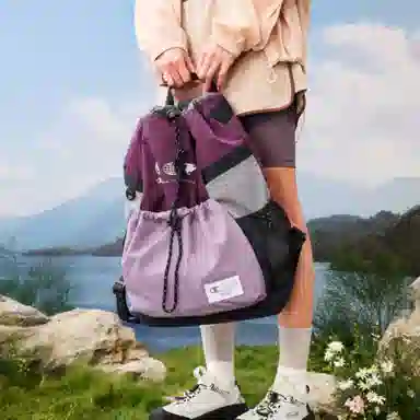 Champion Traveller Backpack