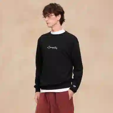 Champion FW25 BASIC
