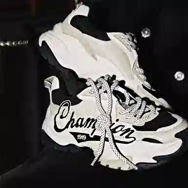 Champion Retro Sports