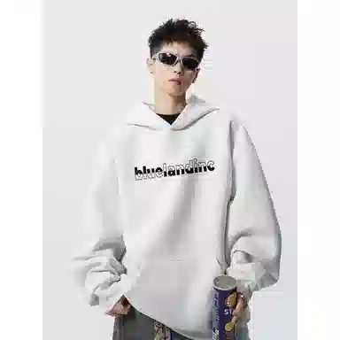 BLUELANDINC