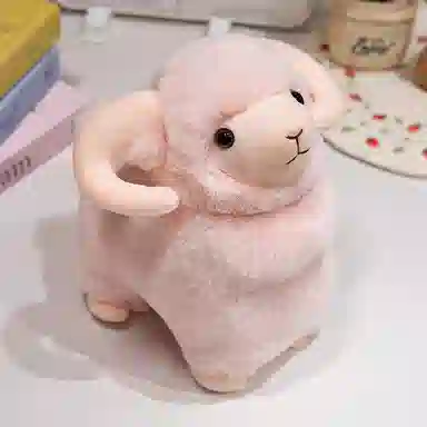 25cm35cm45cm