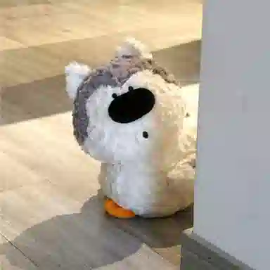 30cm45cm