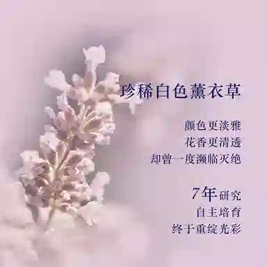 欧舒丹 沐浴啫喱洗护体验装 保湿补水 星品留香