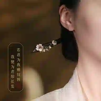 凤凰涅磐 古风新中式簪子木质汉服旗袍木簪日常盘发现代简约  黑檀木 酒红石榴石 发簪 女款 礼物 礼盒