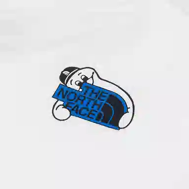 THE NORTH FACE T