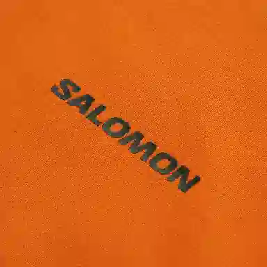 SALOMON T LINK LONG SLEEVE