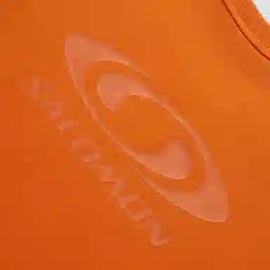 SALOMON T LINK LONG SLEEVE