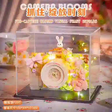 FGHGF miniCCD DIY 495pcs FG-JM-96