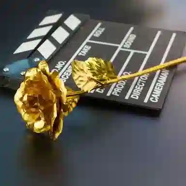 FGHGF DIY
