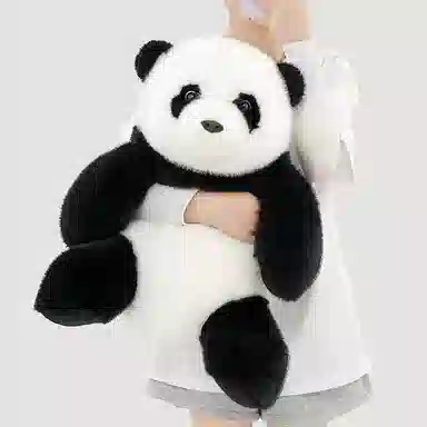 FGHGF pp