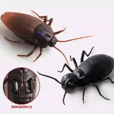 FGHGF