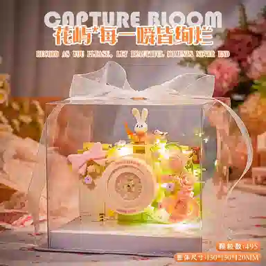 FGHGF miniCCD DIY 495pcs FG-JM-96