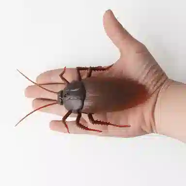 FGHGF