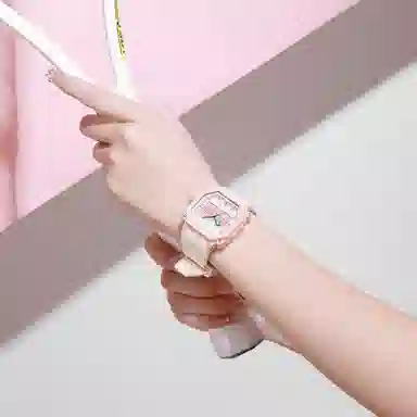 Dickies 453 Series Limited Edition