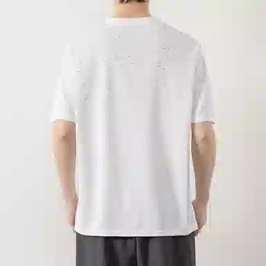 LISENPOK T