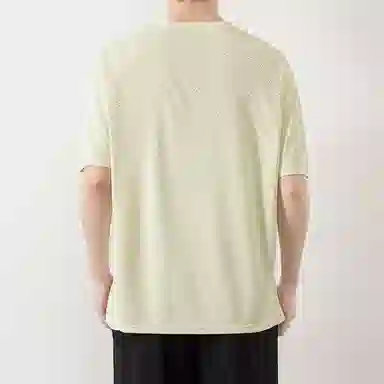 LISENPOK T