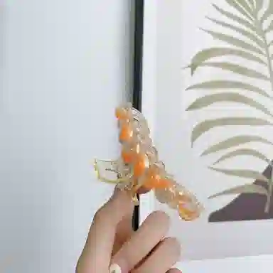 ins