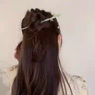 尚先生 新中式竹叶流苏搭配马面裙的头饰发簪高级仿玉石竹子步摇国风盘发 发饰 女款