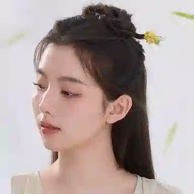 尚先生 玉桂兔发饰新中式古风简约发钗盘发木簪汉服旗袍 发簪 女款