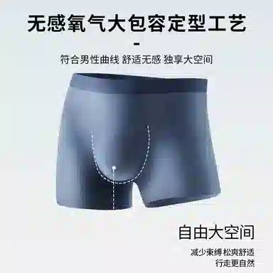 Garfield Family Antibacterial Ice Silk Boxer Briefs Men Set