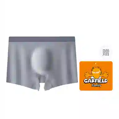 Garfield Family Antibacterial Ice Silk Boxer Briefs Men Set