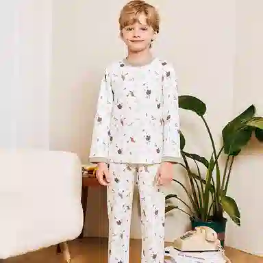5Aa