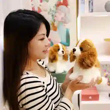 kakadream 20cm