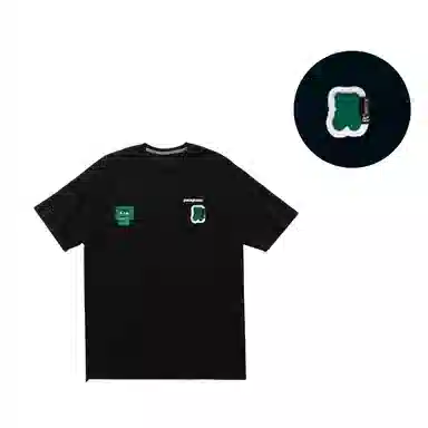 patagonia T
