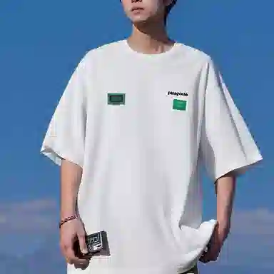 patagonia T