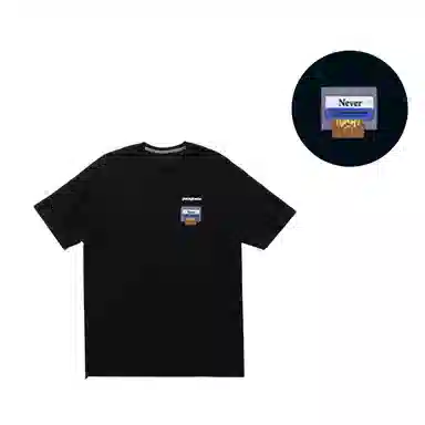 patagonia T