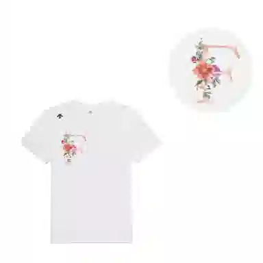 DESCENTE TOUGH FlogoT