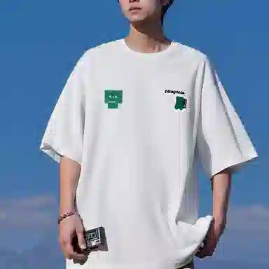 patagonia T
