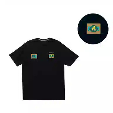 patagonia T