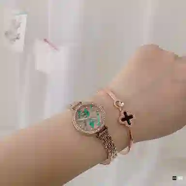 FAIRWHALE ins FW-3200-1