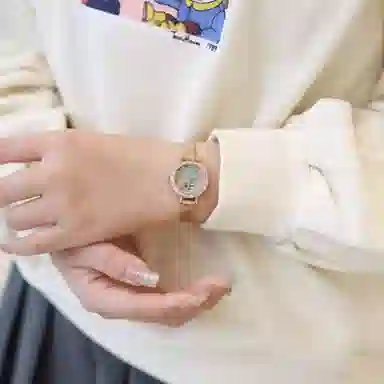 FAIRWHALE ins FW-3200-1