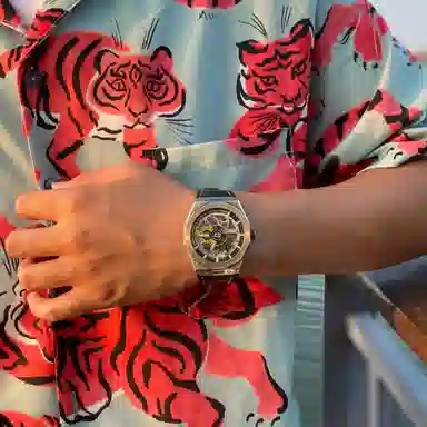 Bonest Gatti BG7601-B4