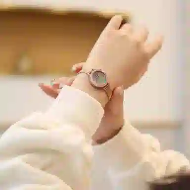 FAIRWHALE ins FW-3200-1