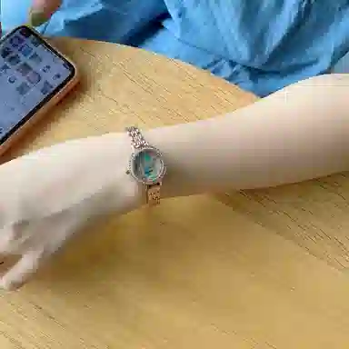 FAIRWHALE ins FW-3200-1