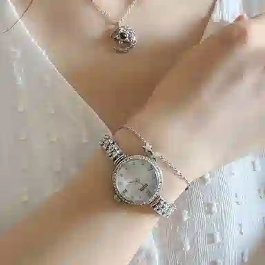 FAIRWHALE ins FW-3750-S