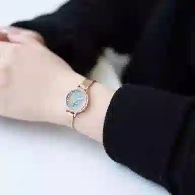 FAIRWHALE ins FW-3200-1