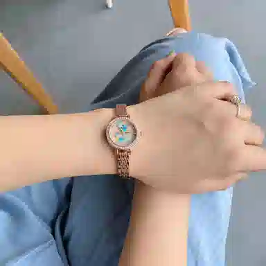 FAIRWHALE ins FW-3200-1