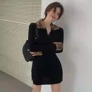 桴生 时尚美式豹纹收腰包臀裙尽显性感优雅长袖连衣裙 女款