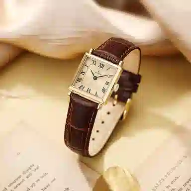 LANZOOM 25mm Goslar01