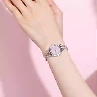 LANZOOM