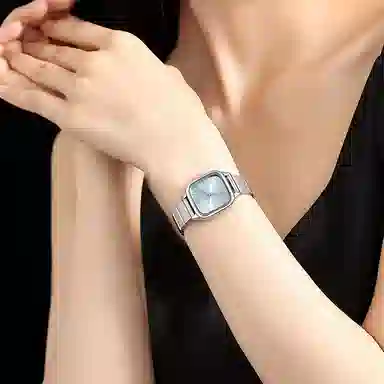 LANZOOM