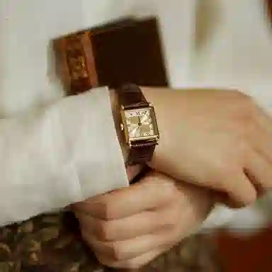 LANZOOM 25mm Goslar01