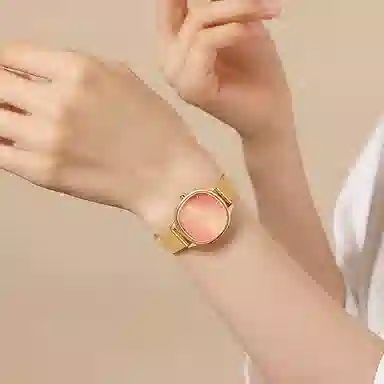 LANZOOM
